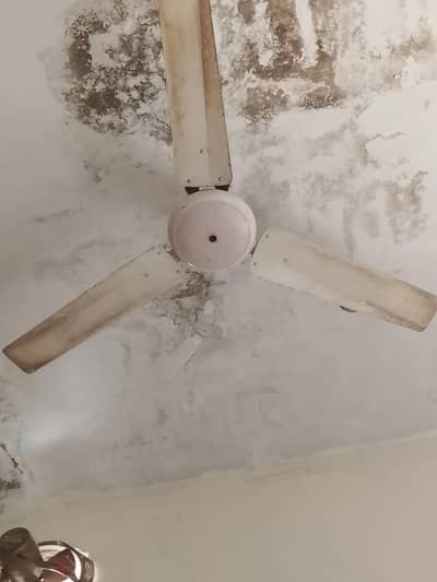 acha fan ha chalta ha