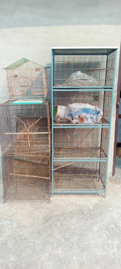 Cages, Pinjra,