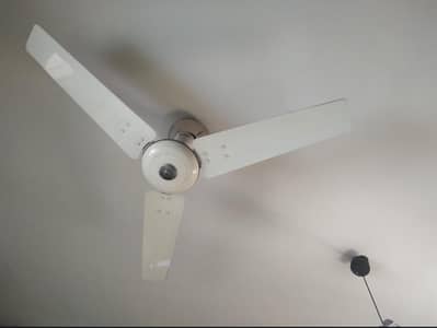 220 volt Royal fan Fan ka two piece ha two full fan
