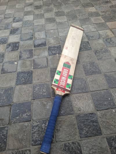 cricket kit including bats, gloves and pads