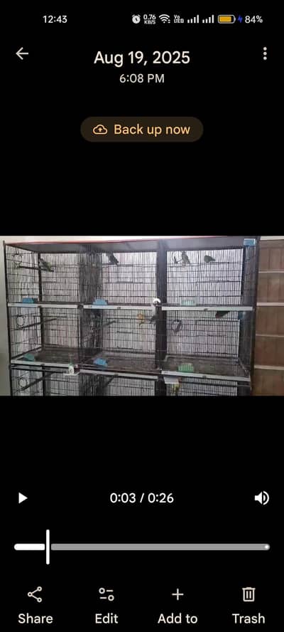 cages 4 sale