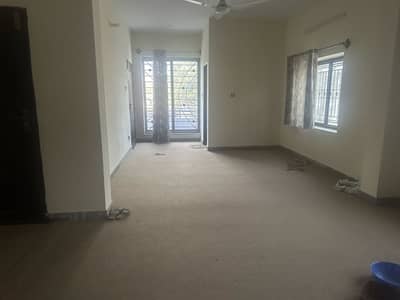 Carpet for sale