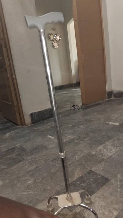 walking cane