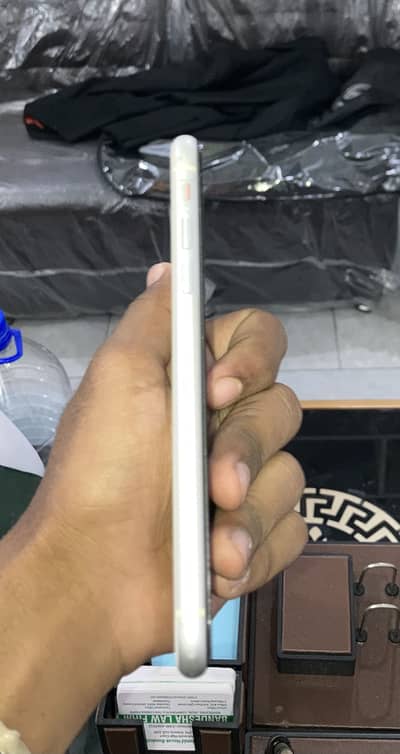 iPhone 11 PTA approved