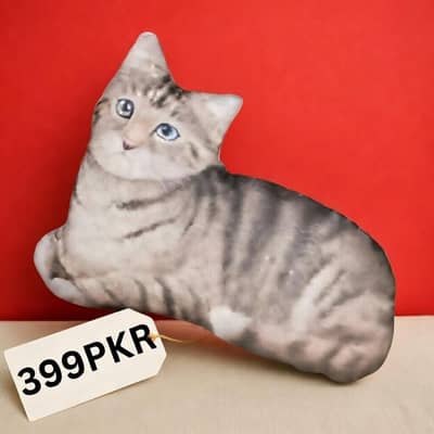 Used Cat Pillow – Good Condition, Minor Thread 399PKR