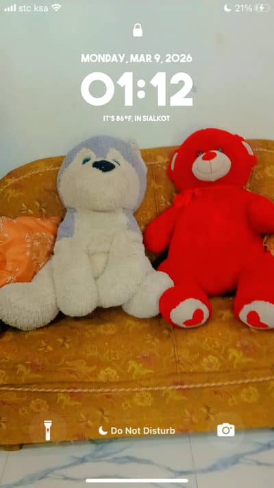 beautiful Teddy bears