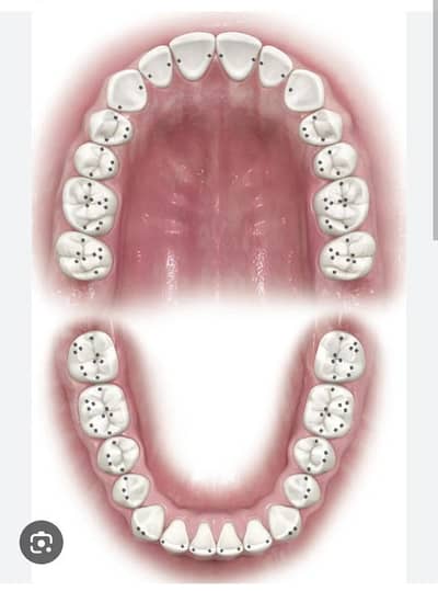 female dental assistant required for clinic