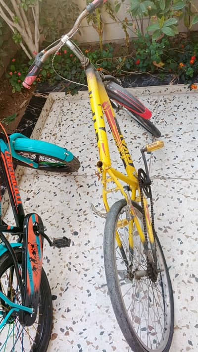 very slightly used 2 cycles for kids