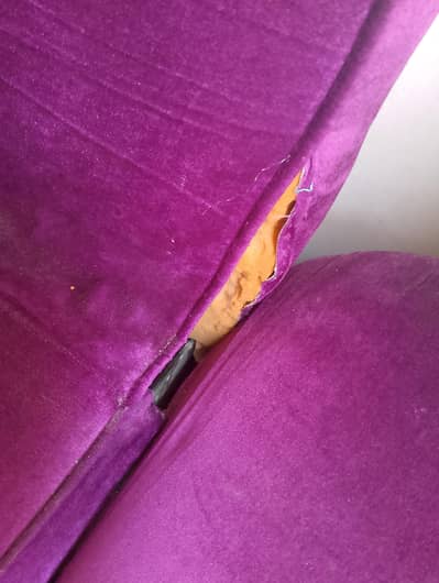 sofa come bed and bed