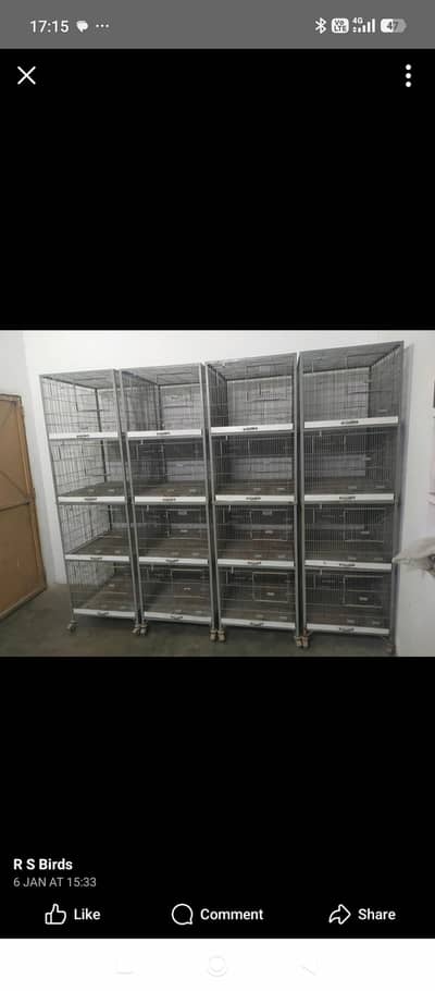 love birds cages