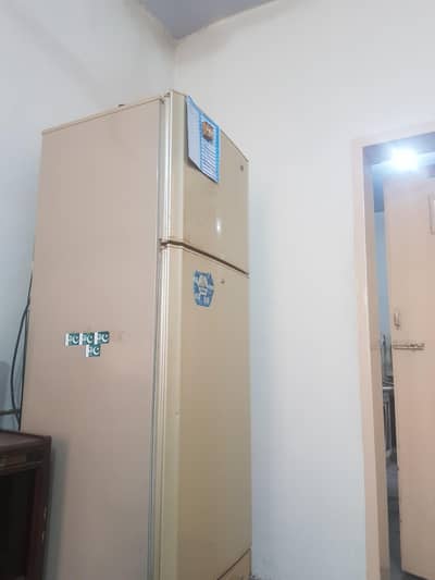 PEL Aspire refrigerator