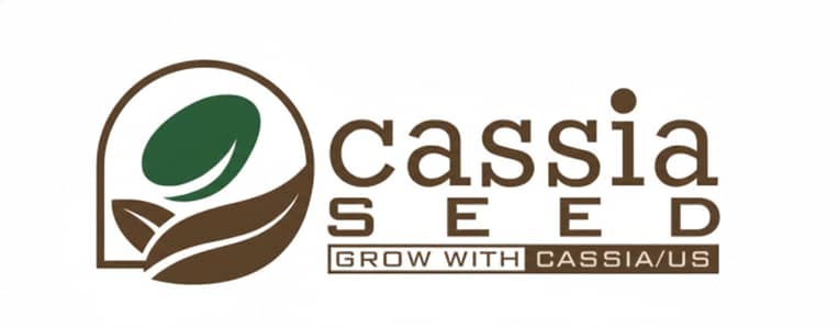 Finance Manager / International Business Coordinator