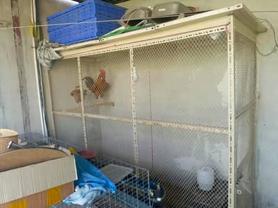 iron hen cage for sale Urgent