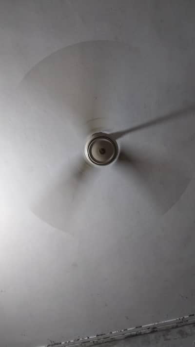 Celling Fan Regular Use