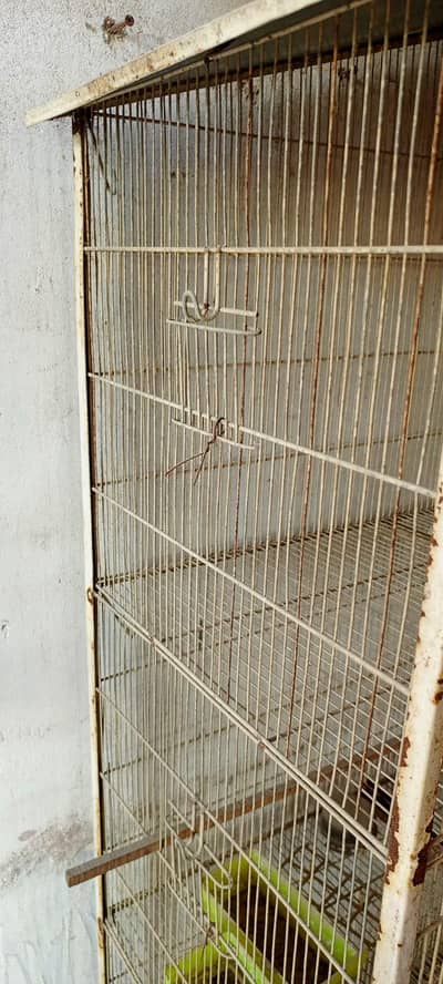parrot Cage