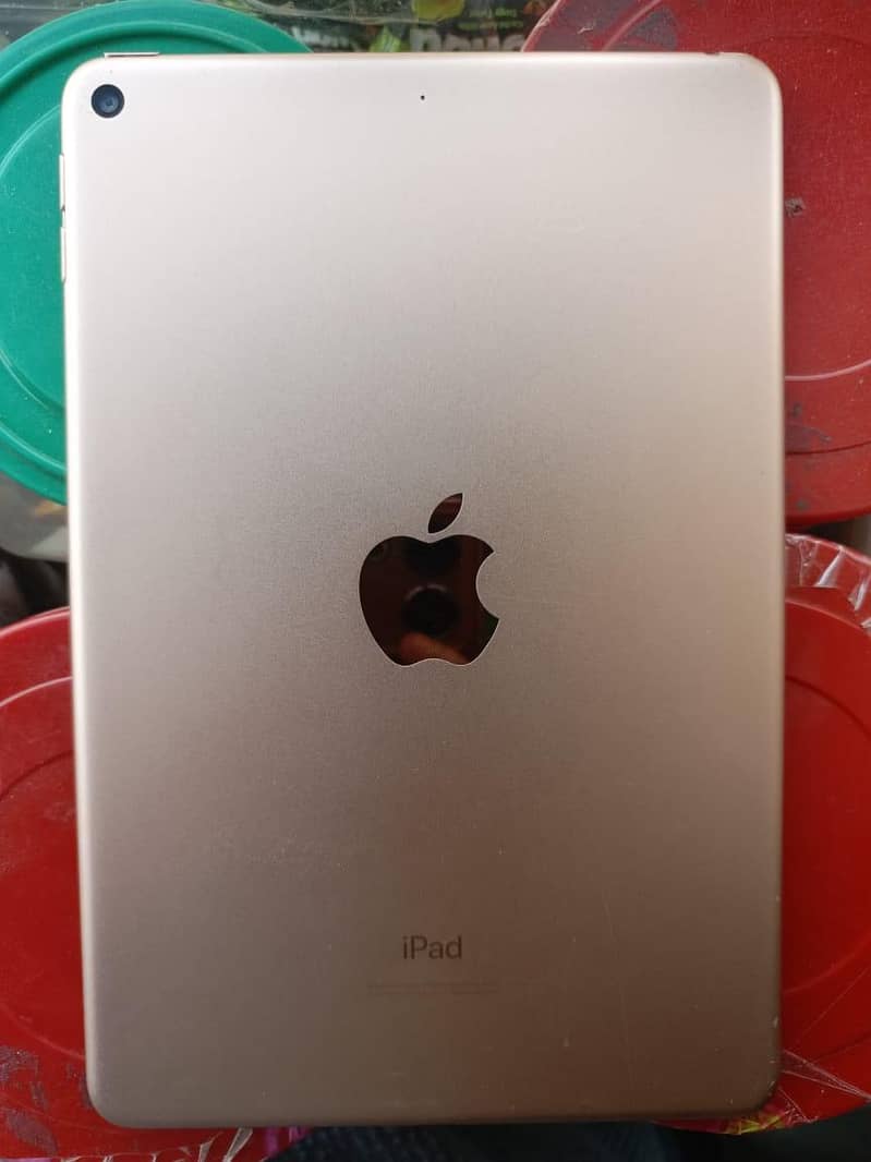 ipad mini 5 0