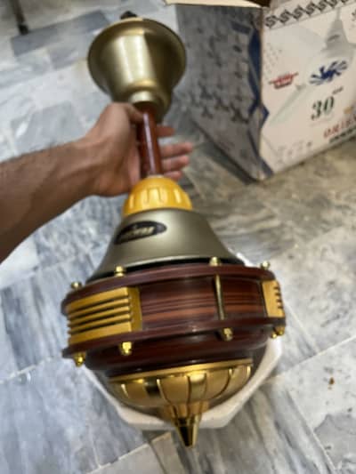 Fancy fan for sale