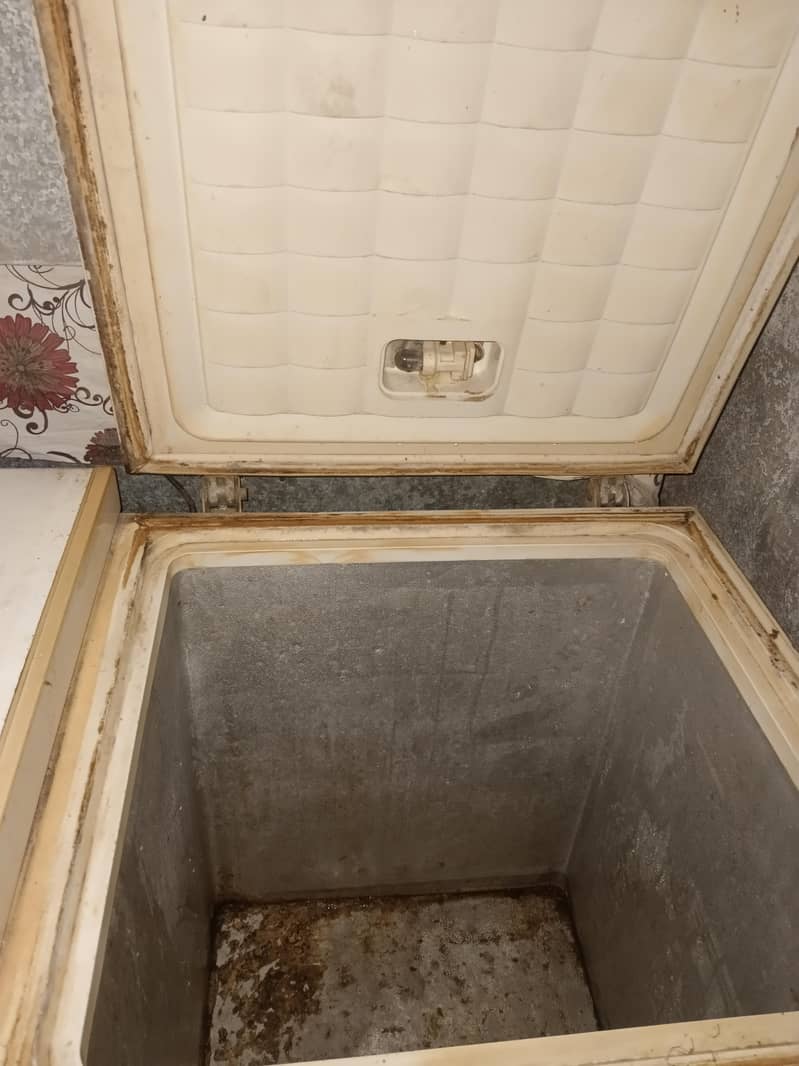 Waves deep freezer 1