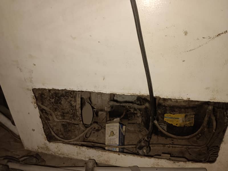 Waves deep freezer 2