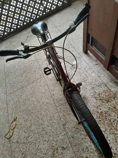 24 inch bicycle for sale