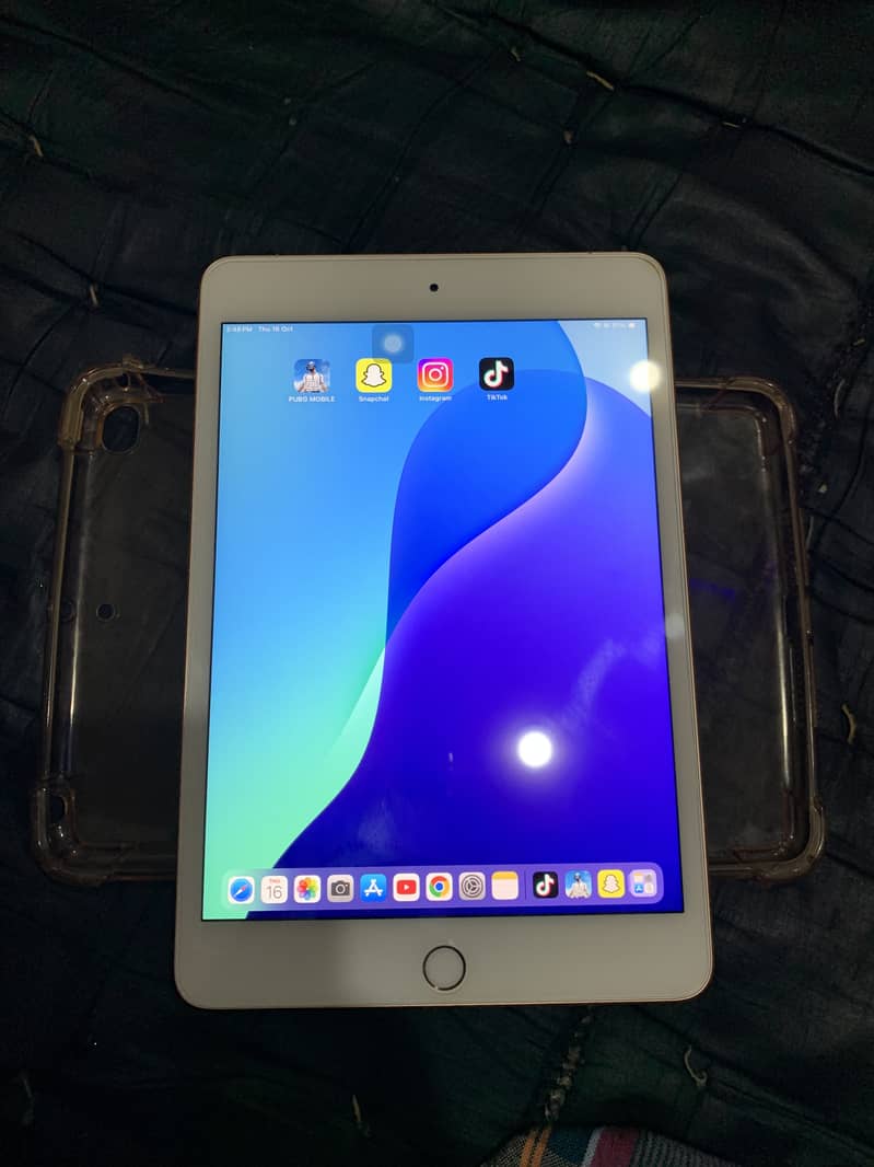 iPad mini 5 0