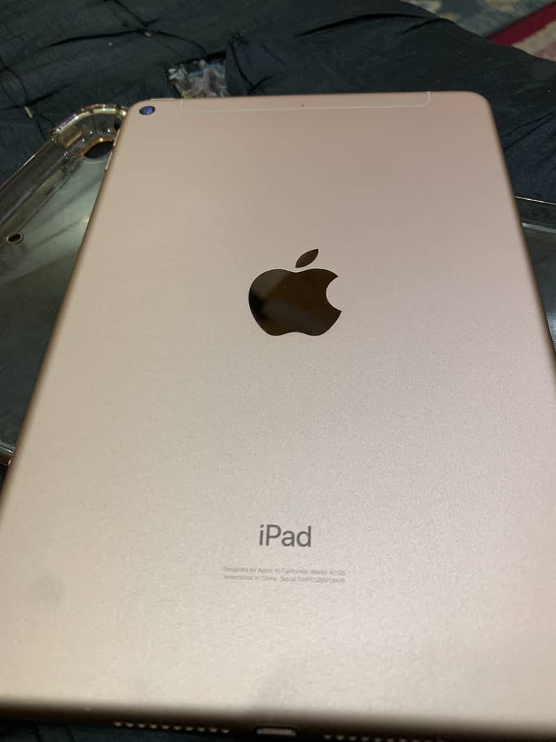iPad mini 5 1