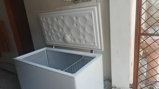 hair 10/10 deep freezer