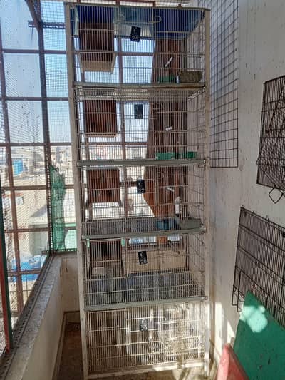 5 portions Large in high quality cage or 1 Folding cage with trey