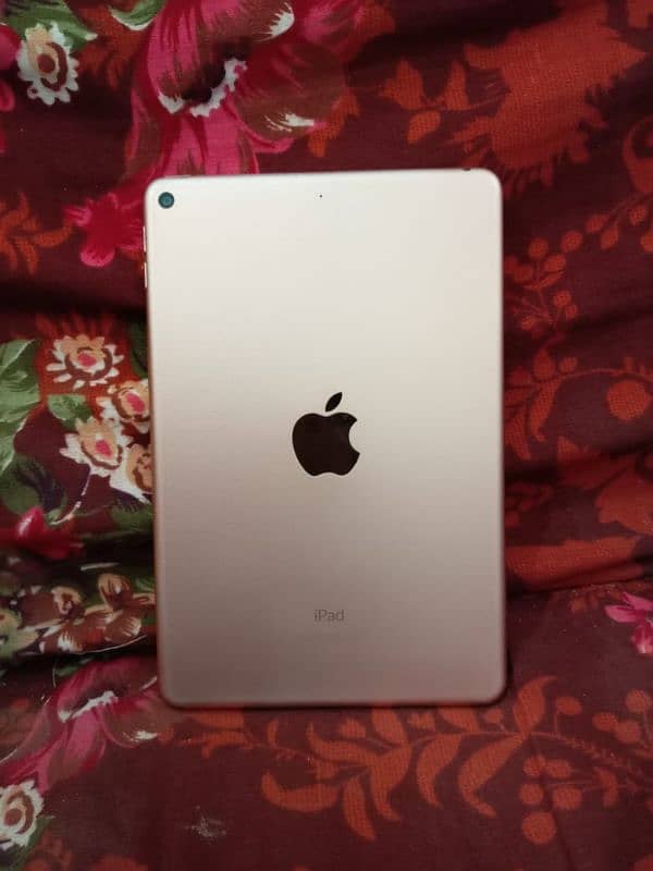 iPad mini 5 1