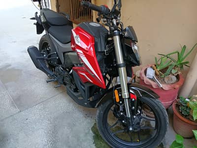 Hi Speed Batllo 2025 for sale