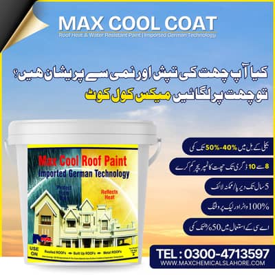 Roof Heat Proofing Roof Waterproofing Services. Max Cool Coat