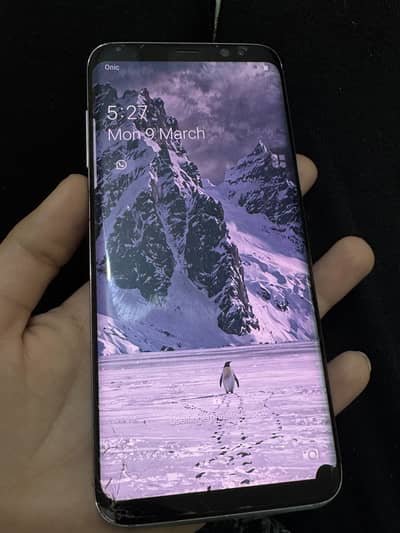 Samsung S8