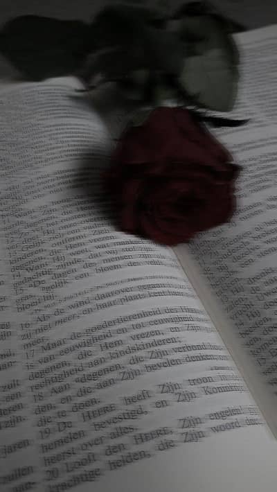 ONLINE WORK FOR FEMALE AND  MALE