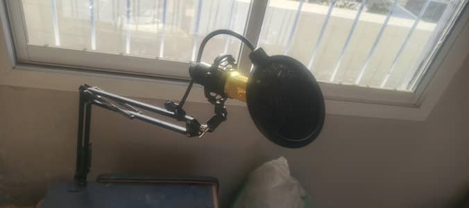 voice recording mic