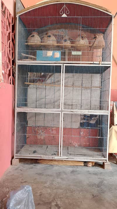 parrot cage