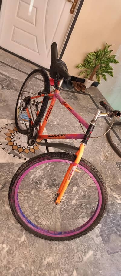 Gaint bycle sports sharp