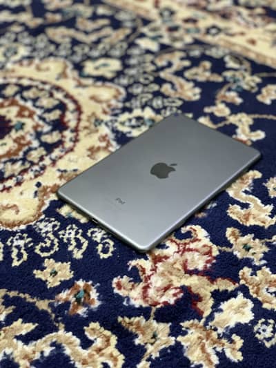 iPad mini 5 (mdm) 64 GB