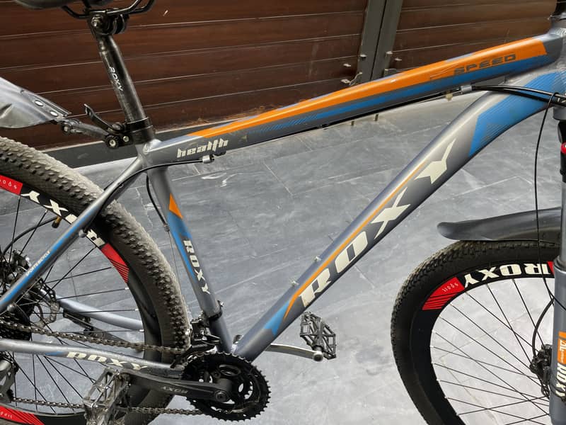 Roxy Bycycle 29inch 1