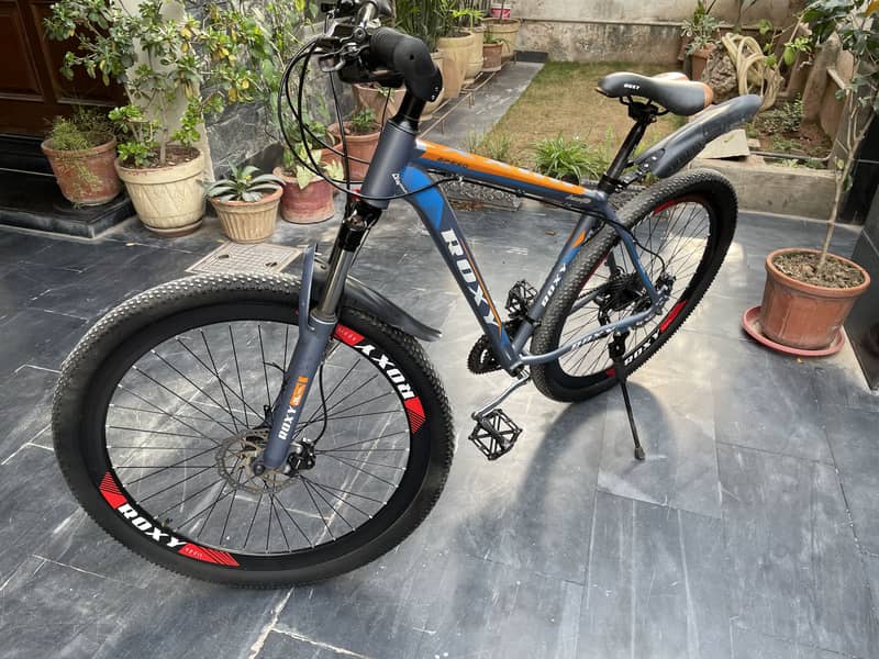Roxy Bycycle 29inch 2