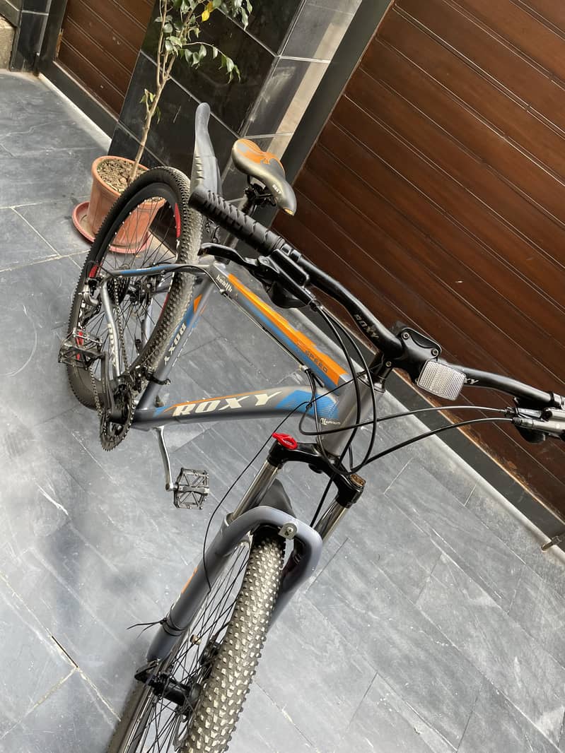 Roxy Bycycle 29inch 3