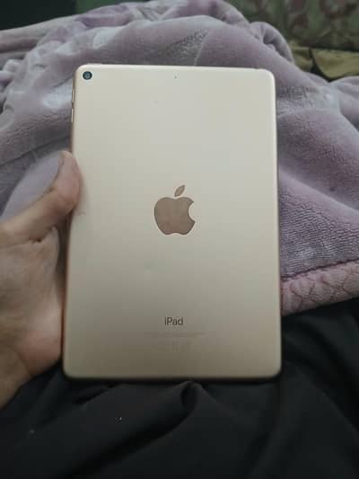 IPAD MINI 5 WITH BOX only panel issue
