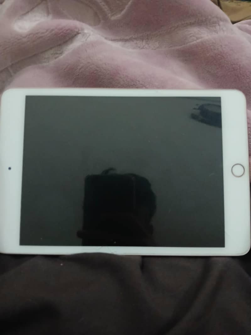 IPAD MINI 5 WITH BOX only panel issue 1