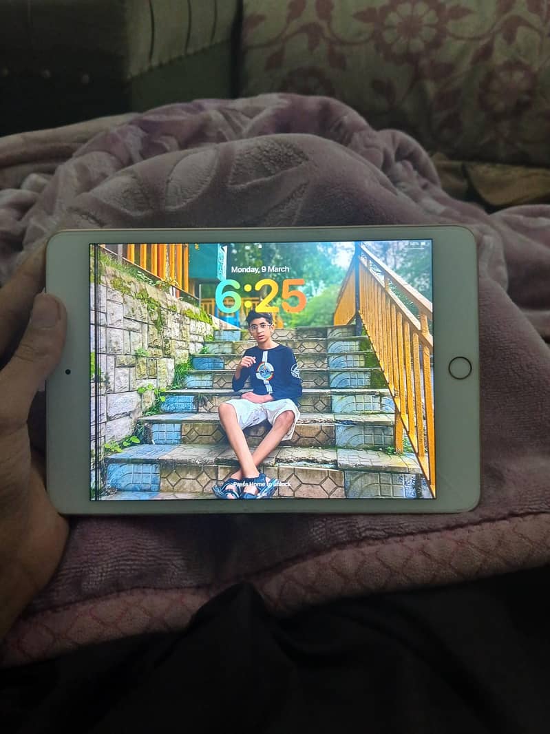 IPAD MINI 5 WITH BOX only panel issue 4