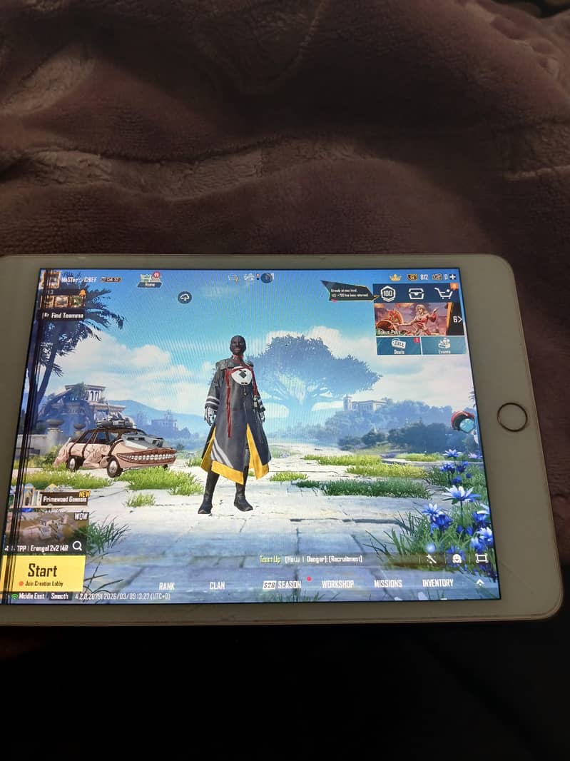 IPAD MINI 5 WITH BOX only panel issue 7