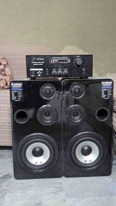 8 inch woofer speaker and amplifier