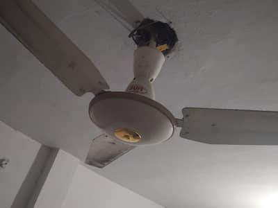 two fans working condition urgent sale
