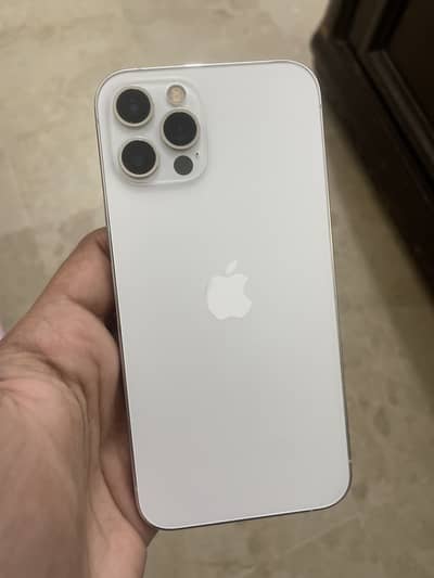 12 pro white colour. Only Back camera not working.