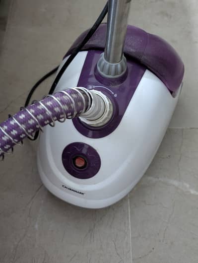 Electric streamer and iron for sale