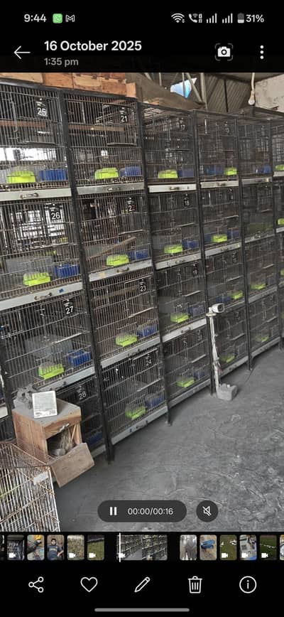 cages for lovebird, cocktails and small conures