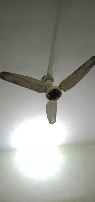 Pak Fan 220v copper winding